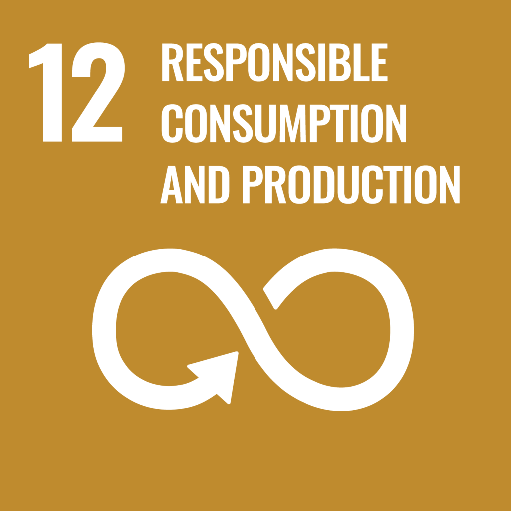 12-responsible-consumption